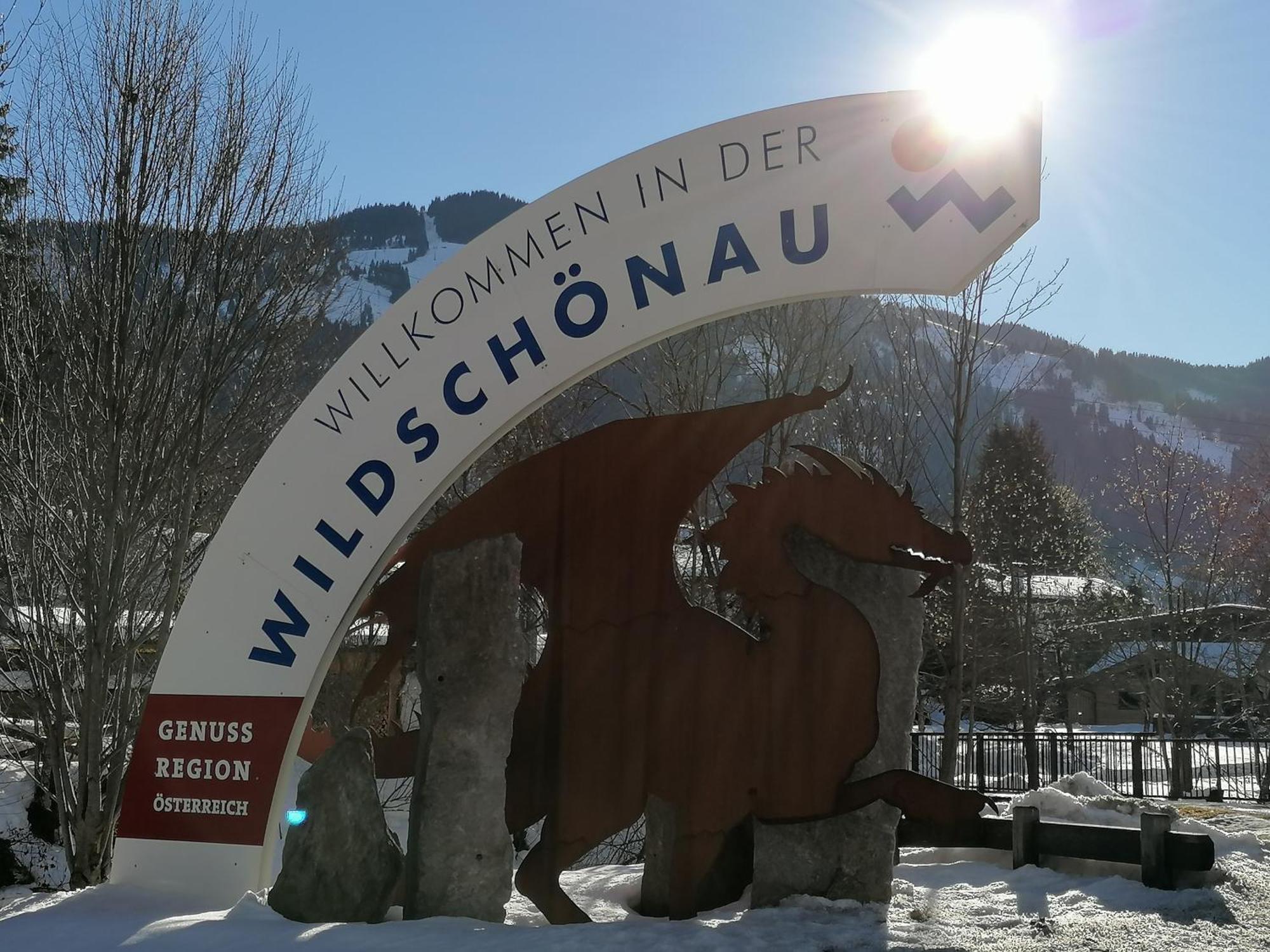 Gittis Ferienwohnung Panorama Wild31 Bernau  Dış mekan fotoğraf